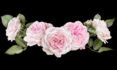 Fototapeta premium Blush pink roses isolated on black background. Floral arrangement, bouquet of garden flowers. Can be used for invitations, greeting, wedding card.