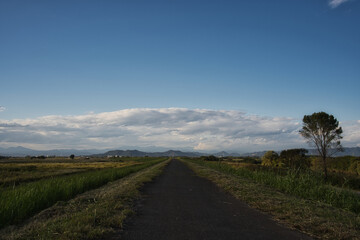 遠くに行きたくなる道、渡良瀬川のあぜ道