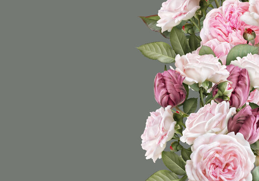 Floral banner, header with copy space. Blush pink roses, carmine tulips isolated on warm grey background. Natural flowers wallpaper or greeting card.