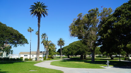 Fototapeta na wymiar Palm trees on Los Angeles coastal area