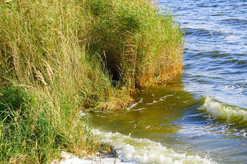 Ostseebad Wustrow, Saaler Bodden