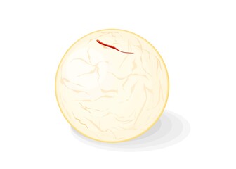 Rasgulla Bengali indian Sweet Dish Food Vector