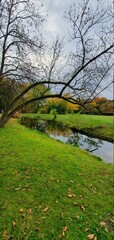 landscape with river and trees