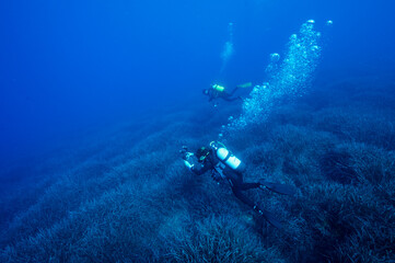 Scientists during healthcheck monitoring survey on neptune grass, Posidonia oceanica, beds...