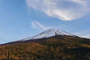 新雪と紅葉の富士山