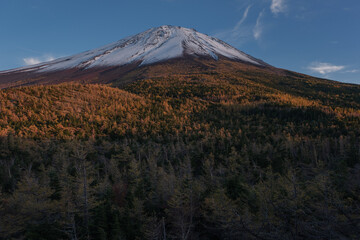 Fototapeta premium 新雪と紅葉の富士山