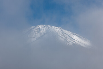 Fototapeta na wymiar 新雪と紅葉の富士山