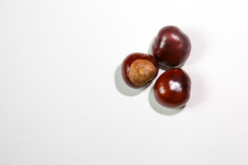 Horse chestnuts on the white background.