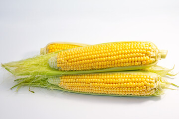 Fresh ripe golden sweet corn cobs on white background