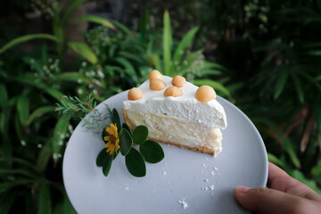 coconut cake with cream and macadamia