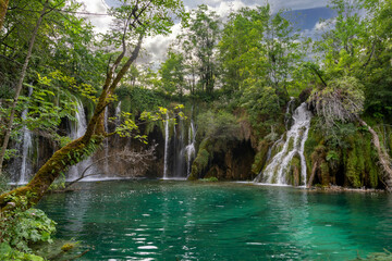 Fototapety na wymiar - Fototapeta24.pl