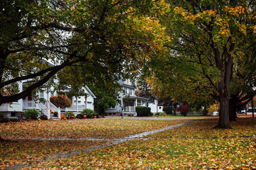Fototapeta na wymiar Quiet residential street in October