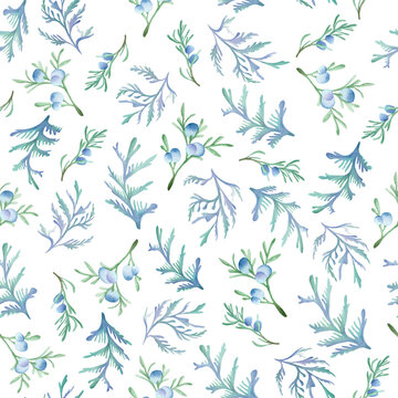 Watercolor seamless pattern with juniper branch