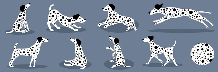 Vector illustration of set dalmatians. Collection of isolated dogs.