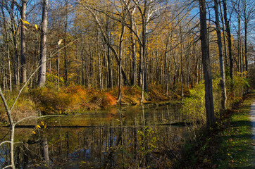 Along the Towpath Trail in the Cuyahoga Valley National Park in the Fall