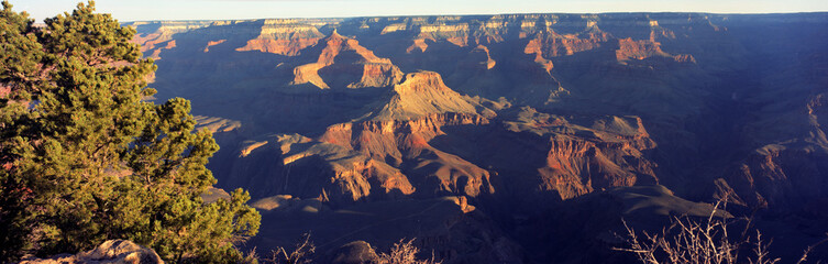 Grand Canyon National Park Panoramic from the South Rim
