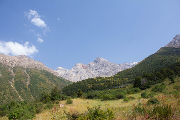 landscape in the mountains