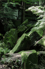 Rocks at The Ledges in the Cuyahoga Valley National Park
