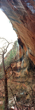 Zion National Park Utah Panoramic
