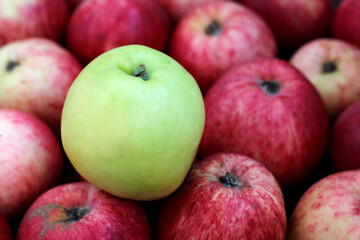 Fototapeta na wymiar A green Apple among many red apples