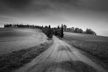 panorama toscano