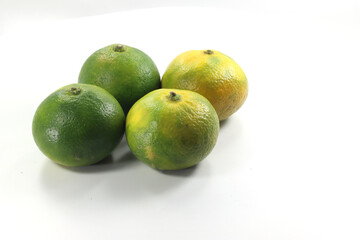 imported fruit in season September Miyagawa Miyagawa