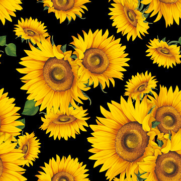 Seamless pattern with sunflowers on black background. Collection decorative floral design elements. Flowers, buds and leaf hand drawn with watercolor.