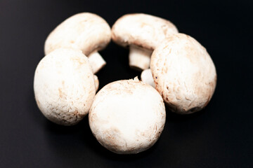 Fototapeta na wymiar Group of champignons. Arranged in a circle in the center of the screen. Side view. O