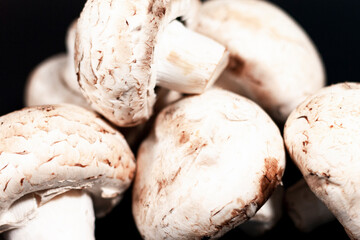 In the center of the screen is a bunch of mushrooms. Side view. Closeup.