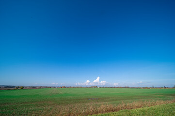 farmland blue sky and green grass nature fall 