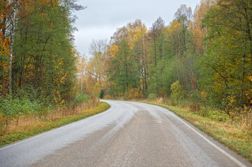 road in autumn forest,landscape, day
