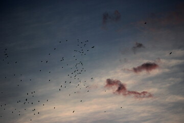 awesome sky