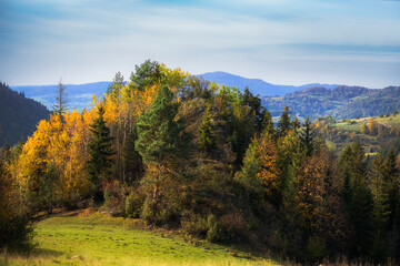 Fototapeta premium autumn in the mountains