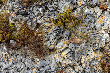 Natural mountain stone,a section of rock texture on a Sunny day.