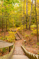 Stairs on hiking trail in woods in autumn with falling leaves