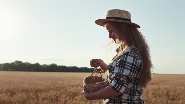 In a sunny day farmer lady with a pretty face holding a basket with a wheat grass and playing excited in the middle of wheat large field she take a look to the sun and enjoying the moment
