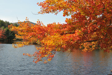 New Hampshire Foliage