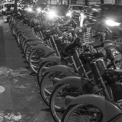 renting bikes at the street of paris