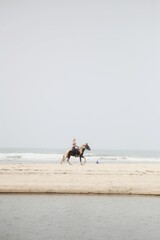 Fototapeta na wymiar person riding a horse
