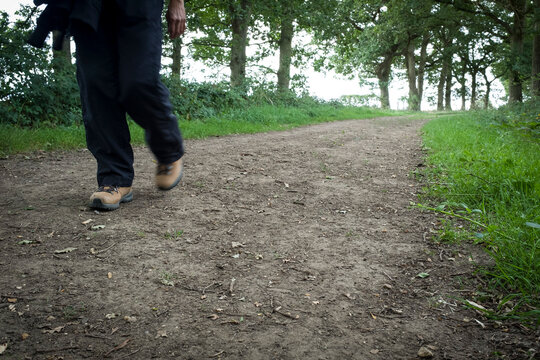 Woman Walking On A Footpath Through Woods In UK Countryside