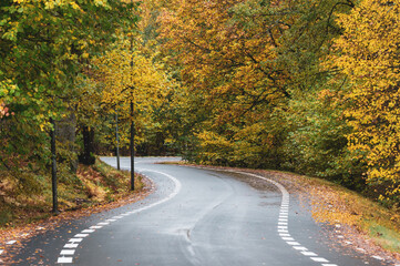 Fototapeta premium Curvy asphalt road through autumn landscape with colorful foliage in October in Sweden. Trees on both sides of the street. Copy space and place for text.