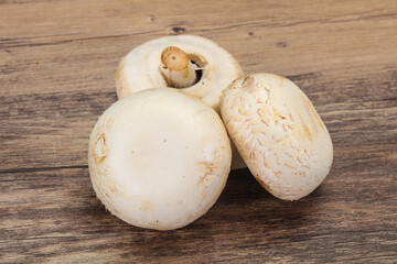 Raw Champignon heap for cooking
