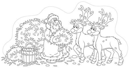 Santa Claus feeding reindeer with tasty hay before his magic journey around the world in the Christmas night, black and white outline vector cartoon illustration for a coloring book page