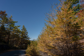 富士山吉田口登山道