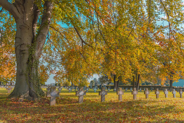 Old military stone crosses from World wars under a tree in a cemetery