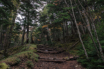 Fototapeta premium 富士山吉田口登山道