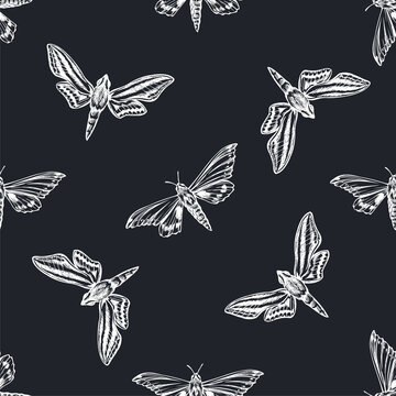 Ropics Images – Browse 34 Stock Photos, Vectors, and Video | Adobe Stock