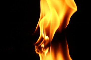 Beautiful fire flames