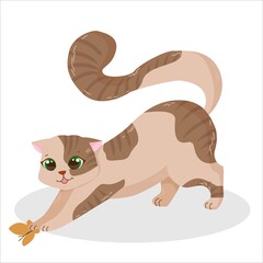 cute and fluffy kitten on a walk catches a butterfly, pet, spotted plump cat with green eyes, vector illustration isolated on a white background