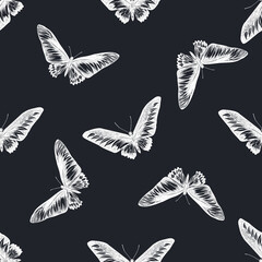 Seamless pattern with hand drawn chalk rajah brooke s birdwing